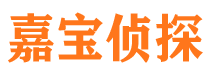 平遥市调查公司